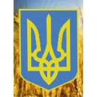 013-3 Символика Украины. Герб (схема)