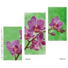 DANA-43 Триптих Орхидея (схема)