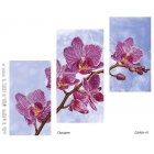 DANA-41 Триптих Орхидея (схема)