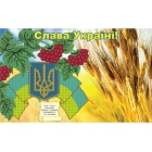 007-3 Украинская символика (схема)