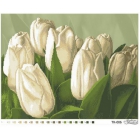 ТК-006 Белые тюльпаны (схема)